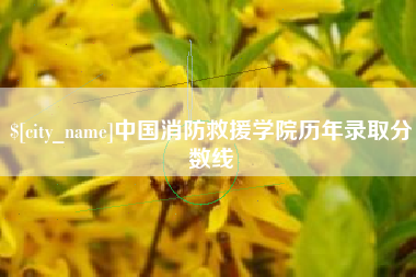 南漳中国消防救援学院历年录取分数线