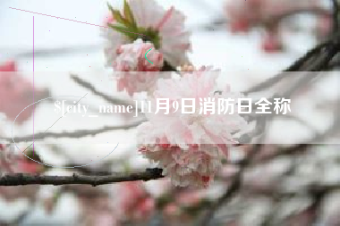 南漳11月9日消防日全称