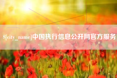 南漳中国执行信息公开网官方服务