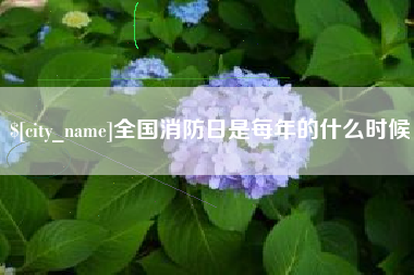 南漳全国消防日是每年的什么时候
