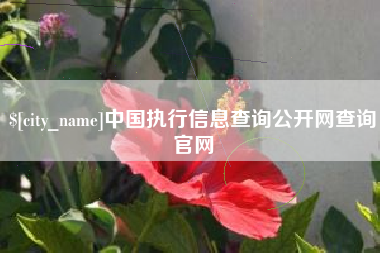 南漳中国执行信息查询公开网查询官网