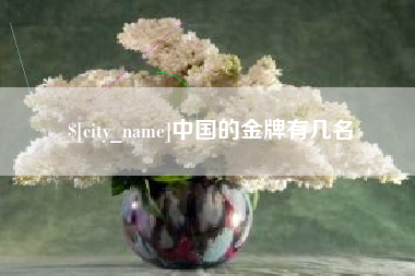 南漳中国的金牌有几名