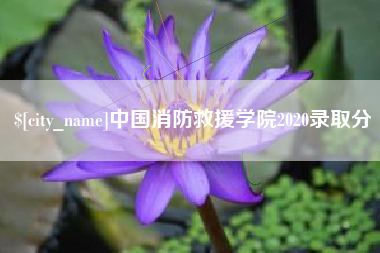 南漳中国消防救援学院2020录取分