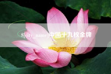 南漳中国十九枚金牌
