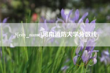 南漳河南消防大学分数线