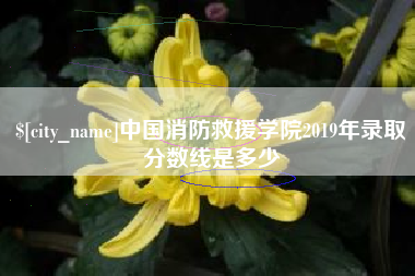 南漳中国消防救援学院2019年录取分数线是多少