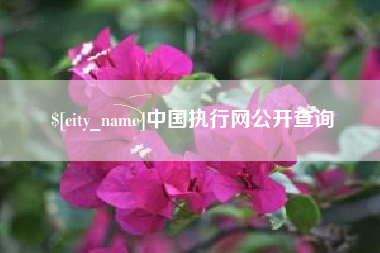 南漳中国执行网公开查询