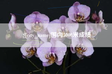 南漳国内5000米成绩