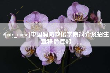 南漳中国消防救援学院简介及招生章程指挥部