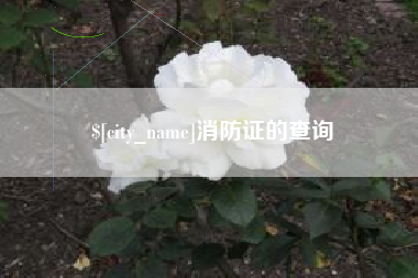 南漳消防证的查询