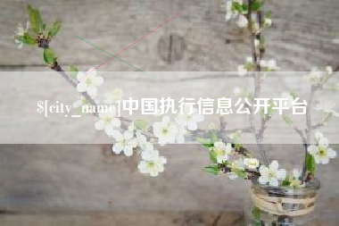 南漳中国执行信息公开平台