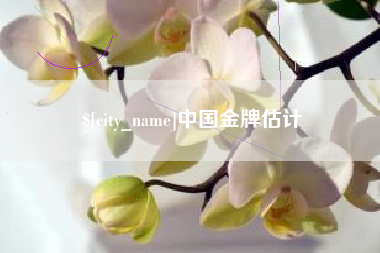 南漳中国金牌估计