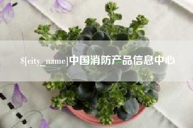 南漳中国消防产品信息中心