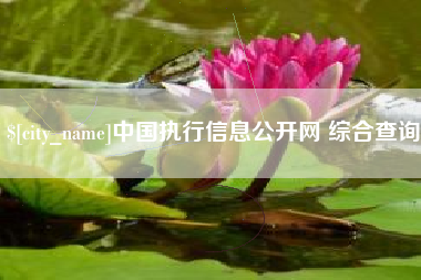 南漳中国执行信息公开网 综合查询