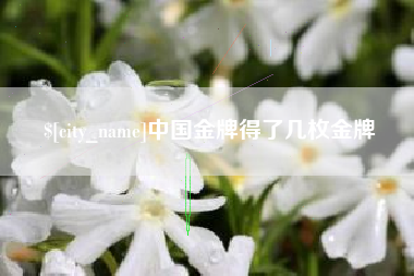 南漳中国金牌得了几枚金牌