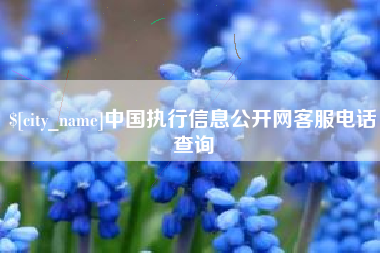 南漳中国执行信息公开网客服电话查询