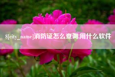 南漳消防证怎么查询,用什么软件