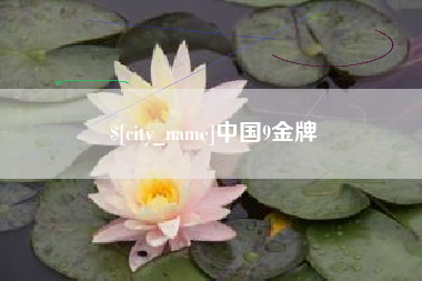 南漳中国9金牌