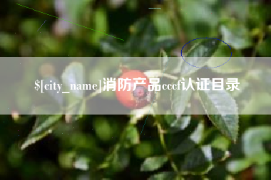 南漳消防产品cccf认证目录
