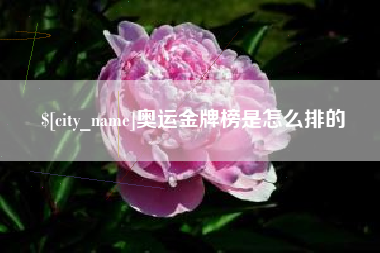 南漳奥运金牌榜是怎么排的