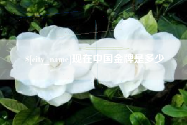 南漳现在中国金牌是多少