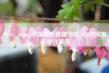 南漳中国消防救援学院2020年河南录取分数线