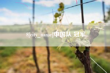 南漳中国队 冠军