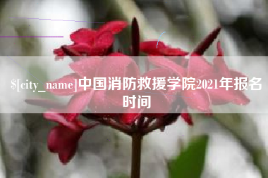 南漳中国消防救援学院2021年报名时间