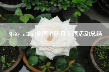 南漳全国消防日主题活动总结