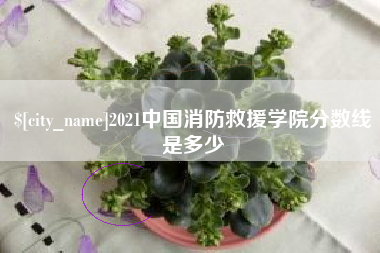 南漳2021中国消防救援学院分数线是多少