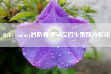 南漳消防救援学院招生录取分数线