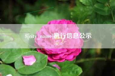 南漳执行信息公示