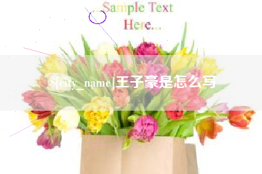 南漳王子豪是怎么写