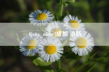 南漳成都 消防