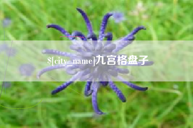 南漳九宫格盘子