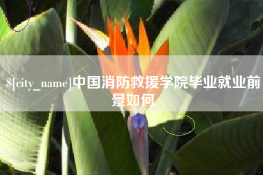 南漳中国消防救援学院毕业就业前景如何
