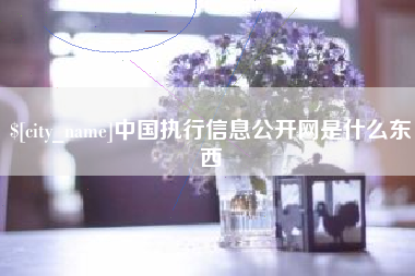 南漳中国执行信息公开网是什么东西