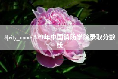 南漳2021年中国消防学院录取分数线