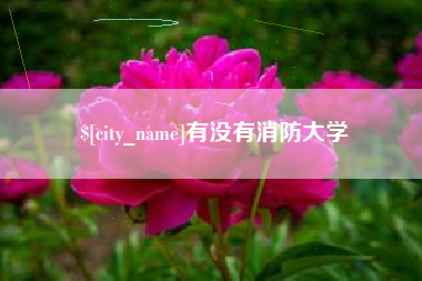 南漳有没有消防大学