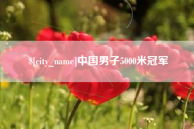 南漳中国男子5000米冠军