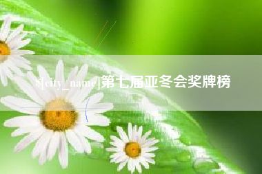 南漳第七届亚冬会奖牌榜