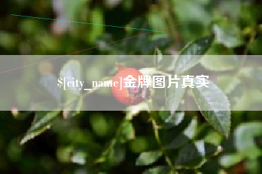 南漳金牌图片真实