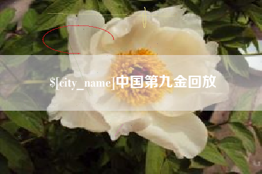 南漳中国第九金回放