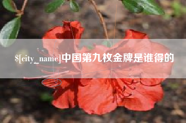 南漳中国第九枚金牌是谁得的
