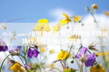 南漳中国执行信息公开网查不到被执行人是不是已解除限高