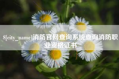 南漳消防官网查询系统查询消防职业资格证书