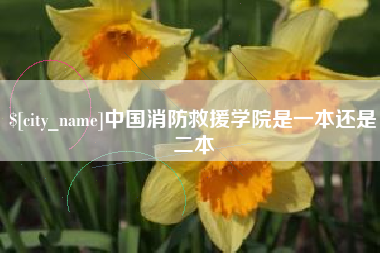南漳中国消防救援学院是一本还是二本
