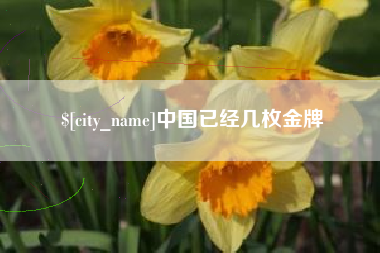 南漳中国已经几枚金牌
