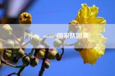 南漳国家队图案