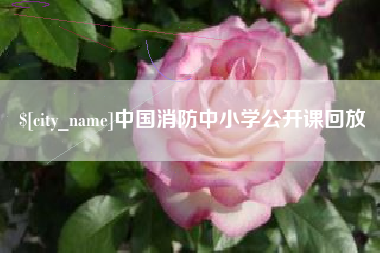 南漳中国消防中小学公开课回放